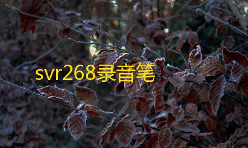 暗区科技免费svr268录音笔